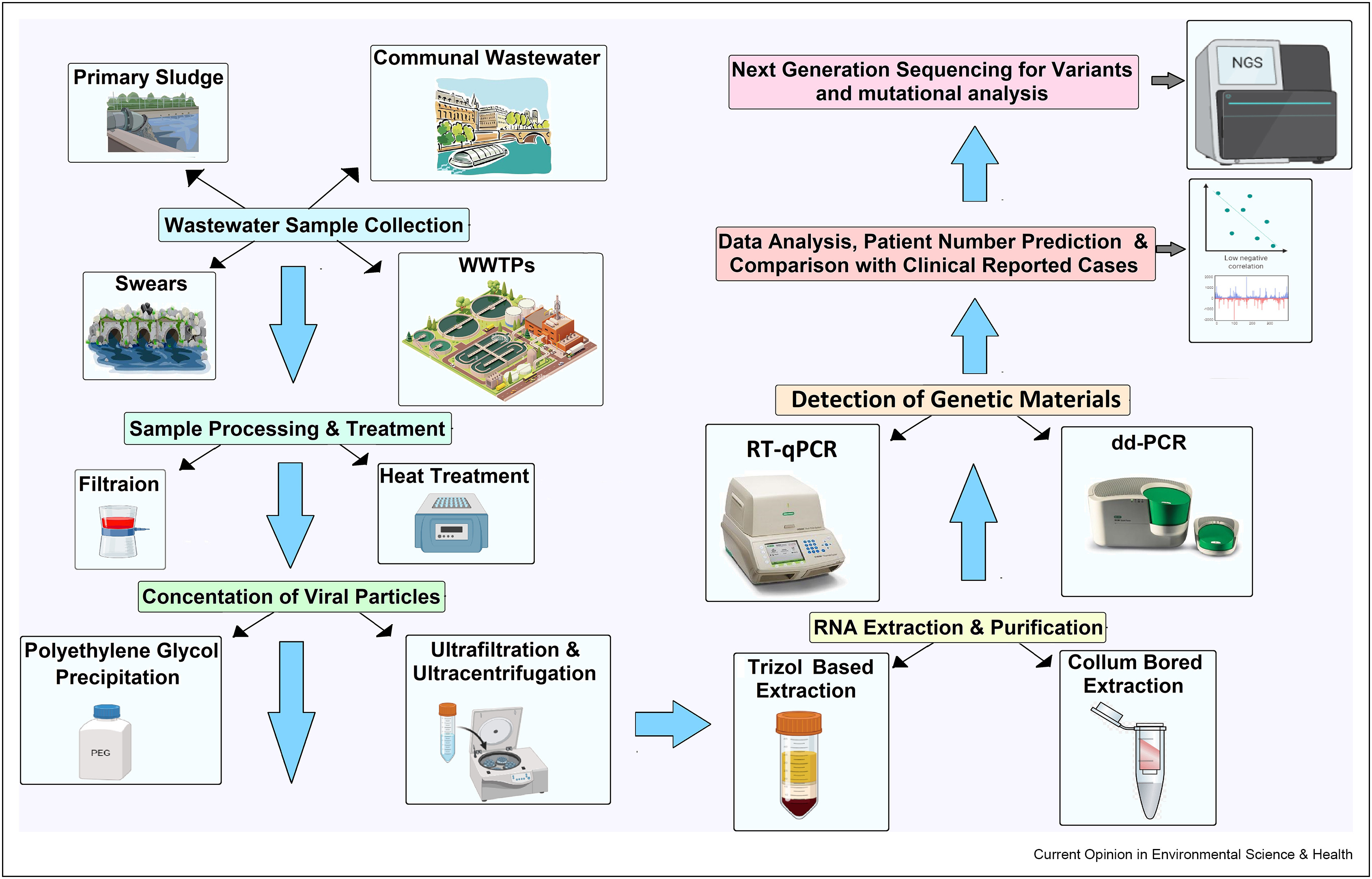 WBS Opinion Flowchart